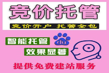 SEM专员实战案例解析